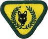 Cub Individual Specialty Badge