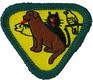 Pet Care Badge