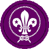 World Scout Badge